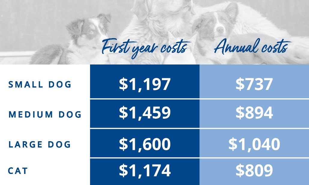 Average cost of owning a fashion dog per month